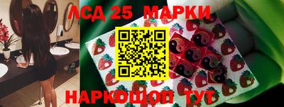a pvp Донской