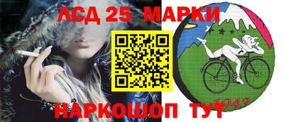 спиды Дубна