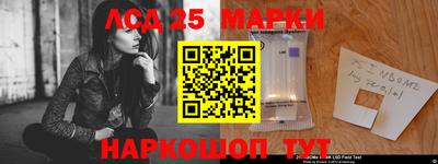 спиды Дубна