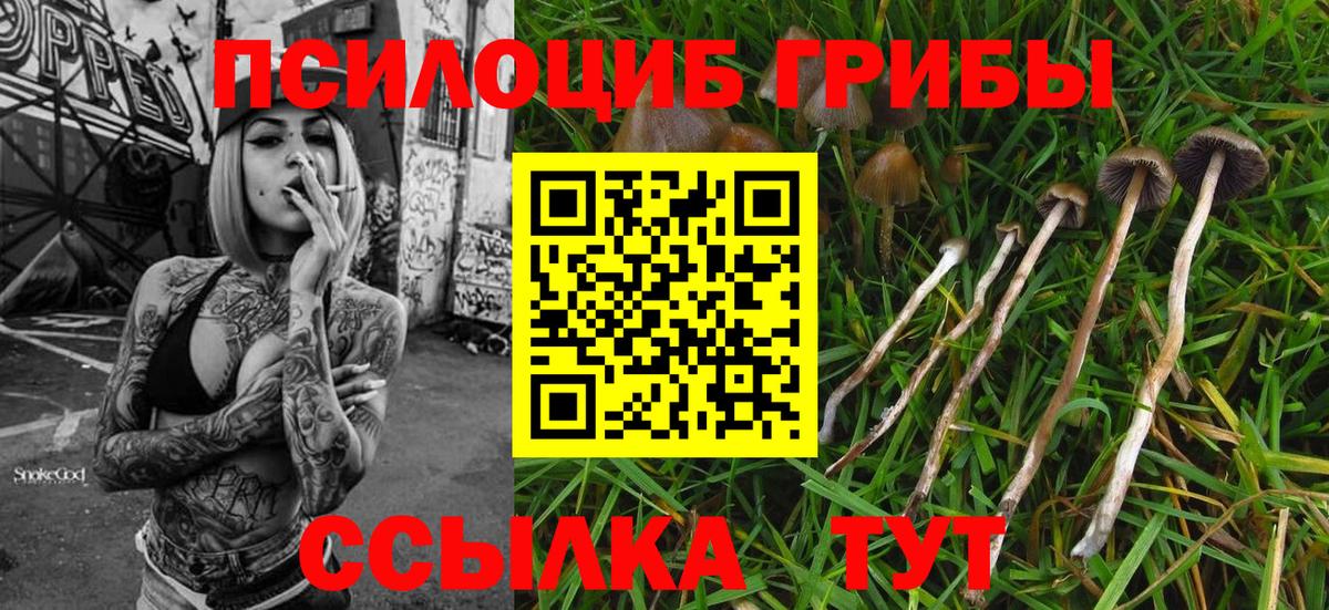 Псилоцибиновые грибы мухоморы  Вход с VPN  Галлюциногенные грибы GOLDEN TEACHER  Междуреченск 