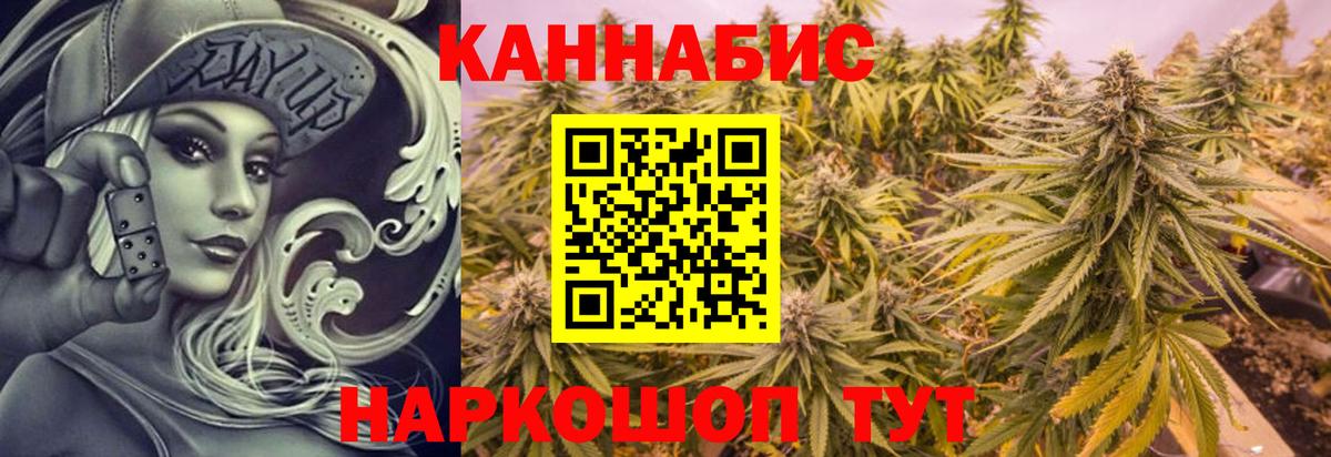 Каннабис сатива Междуреченск